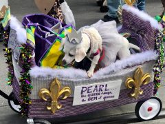 Pear/ Barkus 2022 / Missy Fields Dalton