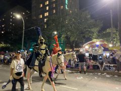 Krewe D'Etat 2024 Knight 2