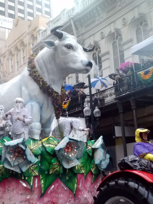 what are the day before mardi gras called