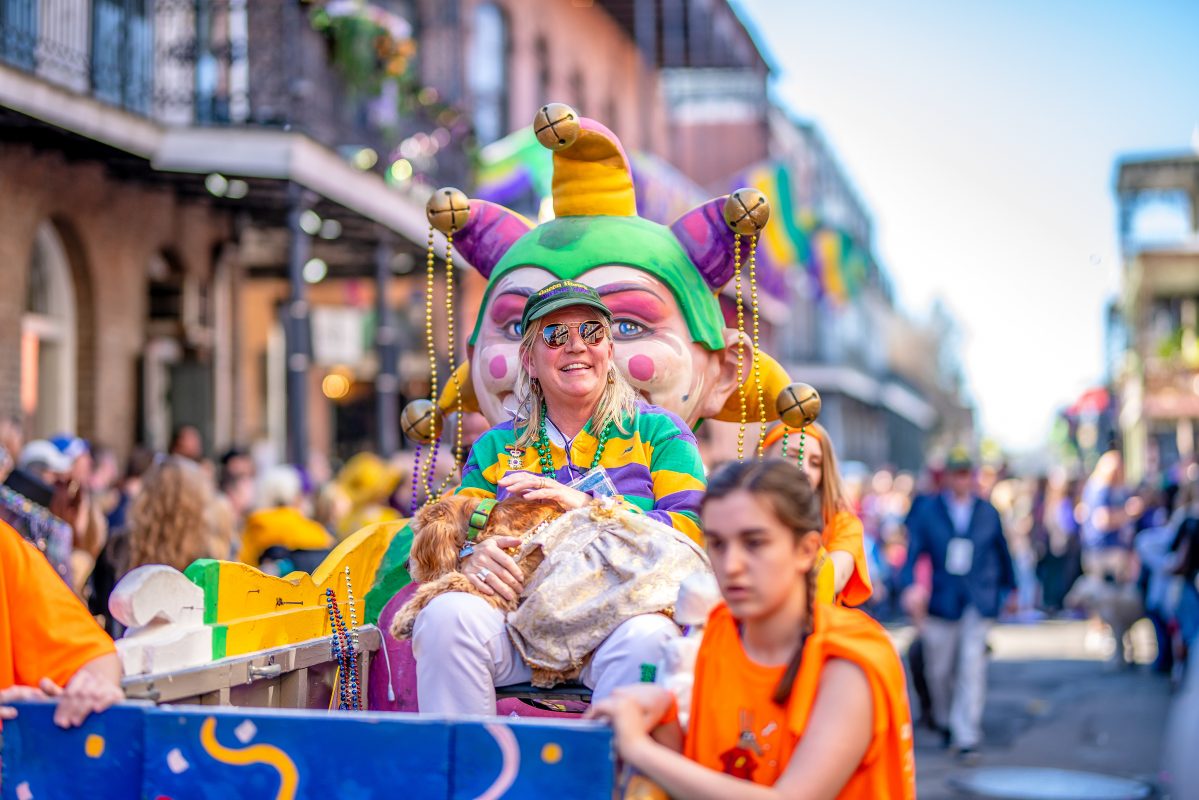 new mardi gras krewe