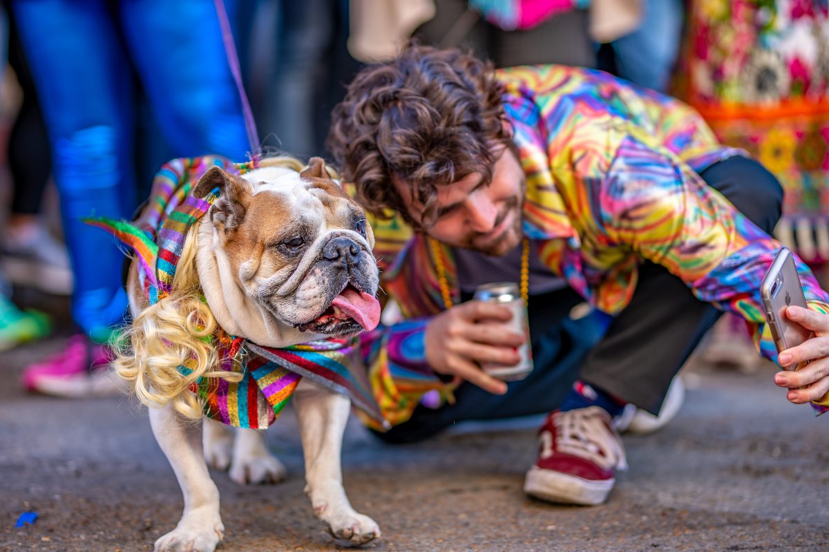 Krewe of Barkus Mardi Gras New Orleans