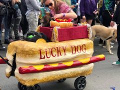 Lucky Dog / Barkus 2022 / Missy Fields Dalton