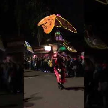 Muses parade video thumbnail