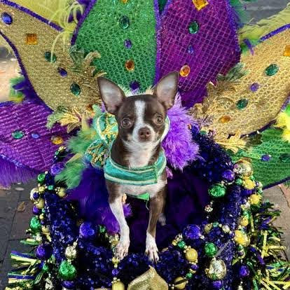 KrewedePaws2025