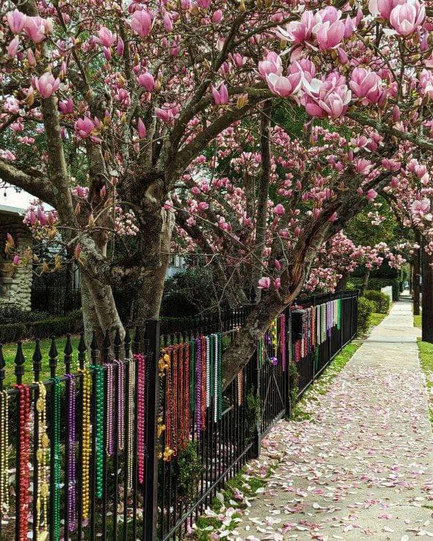 Rudolph Will Roll on Dec. 6th