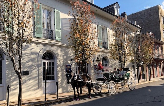 Traditional Horse & Carriage in New Orleans